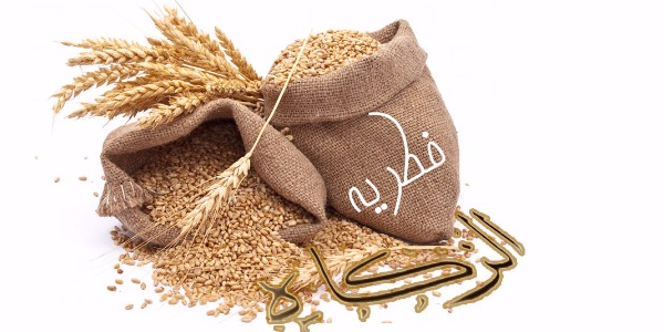 میزان فطریه رمضان۱۴۴۰